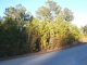 Bellhammon Forest Dr. Rocky Point, NC 28457 - Image 734024
