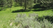1912 Gold Dust Road Cascade, ID 83611 - Image 776292