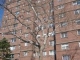 175 Willoughby St Unit 2f Brooklyn, NY 11201 - Image 1624030