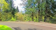 S Oak Tree Ter Oregon City, OR 97045 - Image 3539940