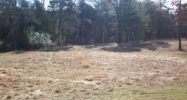 Lot #18, Rock Wall Heights Clarksville, AR 72830 - Image 3933592