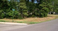 Lot 118 Red Bud Road Gassville, AR 72635 - Image 4022269