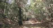 1.39 Acres Pack Trail Sonora, CA 95370 - Image 4170041