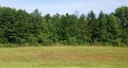 Lot 71 River Bend Heights Valley, AL 36854 - Image 4981153