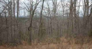 Lot 303 Baypoint Drive Dr Mountain Home, AR 72653 - Image 6579043