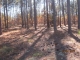 123 Chesterfield Drive Forest Southern Pines, NC 28387 - Image 8230744
