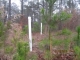 , Section 16 Forest Cr (Apn Southern Pines, NC 28387 - Image 8230742