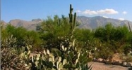 4848 W Camino De Manana #B Tucson, AZ 85742 - Image 9458874