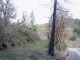 175 UPPER SMITH RIVER RD Drain, OR 97435 - Image 10170664