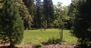 13069 Somerset Drive Grass Valley, CA 95945 - Image 10994960