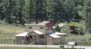 285 Indian Land Rd Pagosa Springs, CO 81147 - Image 11137314