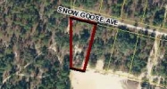 0 Snow Goose Avenue Brooksville, FL 34601 - Image 11304097