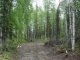 24482 Lucky Shot Trail Willow, AK 99688 - Image 11723474