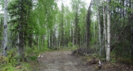 24482 Lucky Shot Trail Willow, AK 99688 - Image 11796820