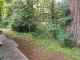 22247 SE 275th Place Maple Valley, WA 98038 - Image 12452428