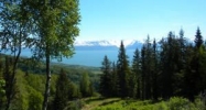5760 Scenic Place Homer, AK 99603 - Image 12495140