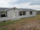 5753 Chilies Hwy Mount Sterling, KY 40353 - Image 13353261