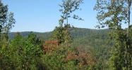 575 Orme Mountain Rd South Pittsburg, TN 37380 - Image 14488970