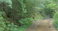 131 ACRE MOUNTAIN PROPERTY Sevierville, TN 37876 - Image 14579014