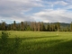 Lot 3 Farm to Market Road Mccall, ID 83638 - Image 14588565