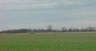 34 acres Bardstown, KY 40004 - Image 14931623