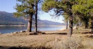201 Pintail Place Donnelly, ID 83615 - Image 15086463