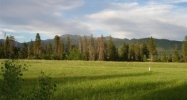 Lot 3 Farm to Market Road Mccall, ID 83638 - Image 15118768
