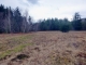 Lot 2 Gendron Rd North Troy, VT 05859 - Image 15614634