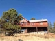 293 Twin Lakes Dr Divide, CO 80814 - Image 15674013