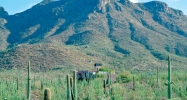 7101 W Sweetwater Drive Tucson, AZ 85745 - Image 16129279
