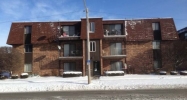 14525 S Manistee Ave #1D Chicago, IL 60633 - Image 16132249