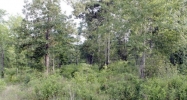 Lot D-1 Dover Trace Hattiesburg, MS 39401 - Image 16170791