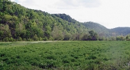 4380 Jennings Creek Hwy Whitleyville, TN 38588 - Image 16185738