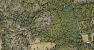 Lot 3 Off of Hog Valley Rd Mims, FL 32754 - Image 17364268
