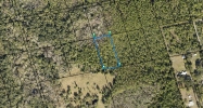 Lot 4 Off of Hog Valley Rd Mims, FL 32754 - Image 17367252
