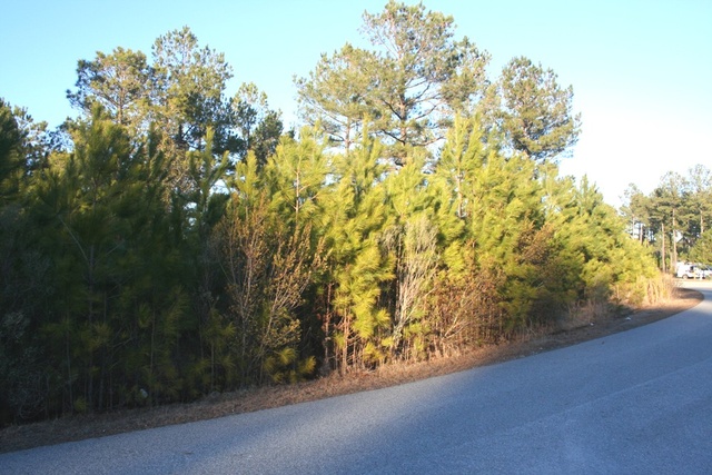 Bellhammon Forest Dr.