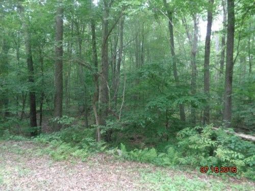 Lot 65 Silver Springs Dr
