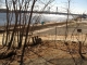 133 Commercial St Bath, ME 04530 - Image 232441