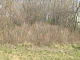 6916 W. 183rd St. Tinley Park, IL 60477 - Image 235221