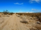 Sunkist  Avenue Joshua Tree, CA 92252 - Image 237346
