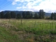 8440 Spruce Mountain Road Larkspur, CO 80118 - Image 237323