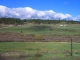 255 Upper Lake Gulch Road Larkspur, CO 80118 - Image 237324