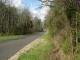 135 Old GA 299 Hwy Wildwood, GA 30757 - Image 239928