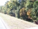 Highway 80 - Shorter Shorter, AL 36075 - Image 244142