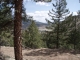 CO South Fork, CO 81154 - Image 359186