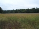0 Ridgely Road Hillsboro, MD 21641 - Image 360324
