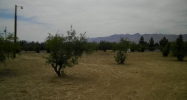 921 E Mesa Oeste Lane Pahrump, NV 89048 - Image 691404