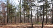 14321 Roe Buck Meadow Lane (Apn#199 Charlotte, NC 28278 - Image 740970