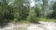 8 Maitland Ct Kissimmee, FL 34759 - Image 772660