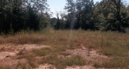Lot 10 Hollingsworth Rd Covington, GA 30016 - Image 781300